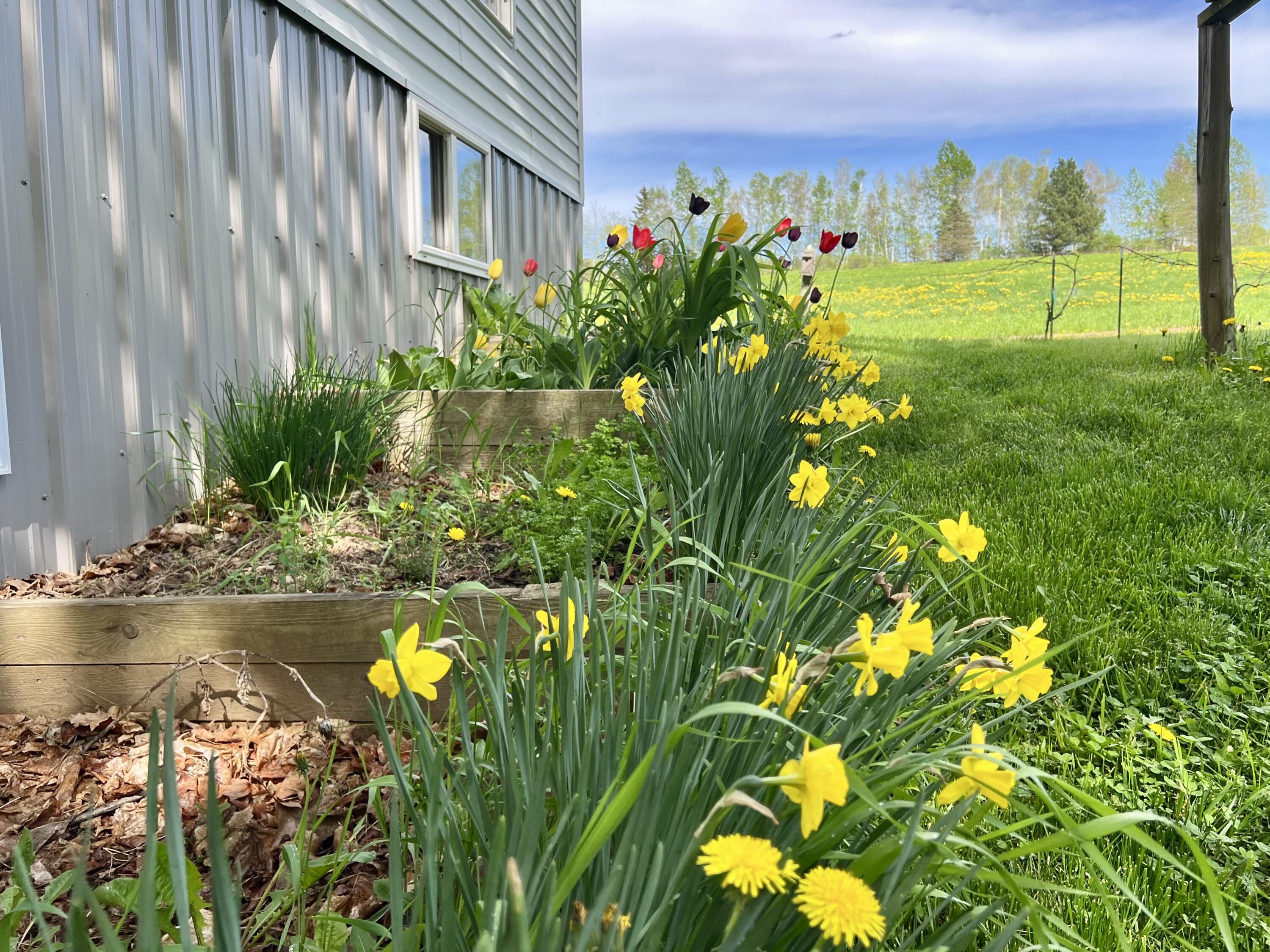 142 Palmer Road Thorndike, ME 04986 - Photo 40 of 101 IMG_4763