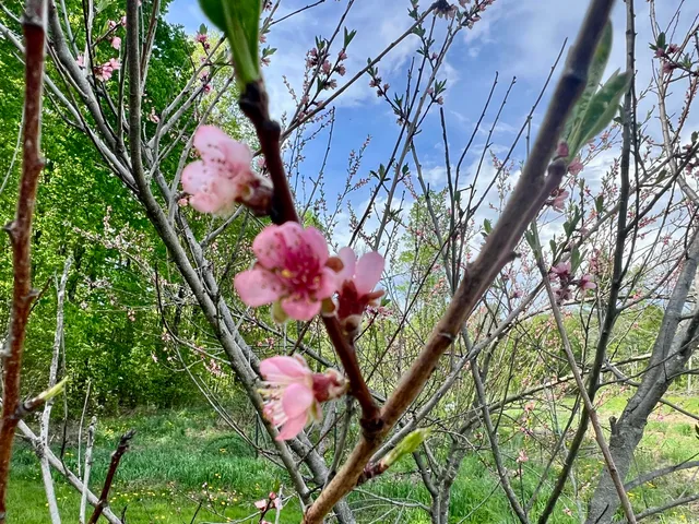 $325,000 | 142 Palmer Road, Thorndike, ME 04986