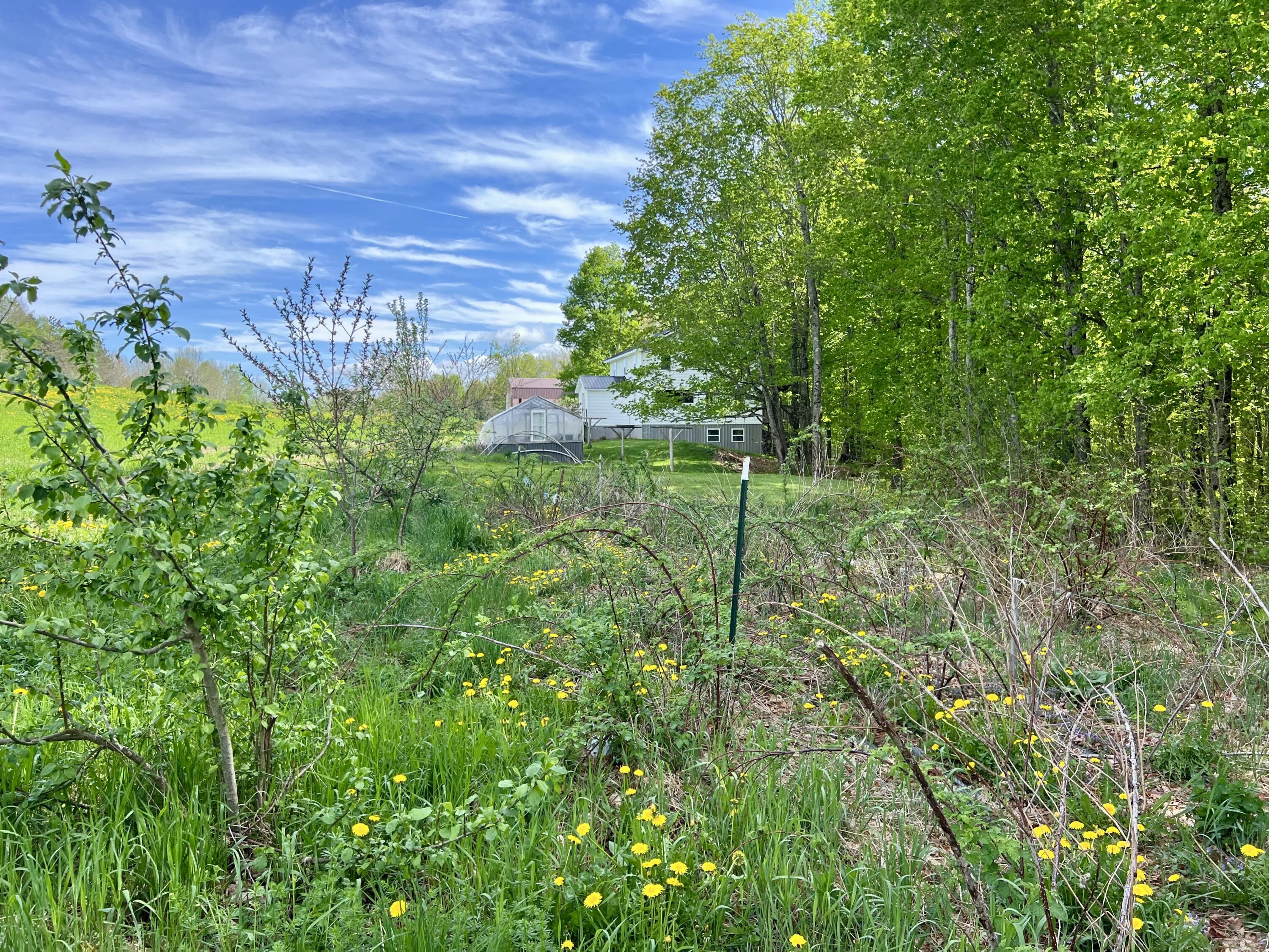 142 Palmer Road Thorndike, ME 04986 - Photo 48 of 101 IMG_4773