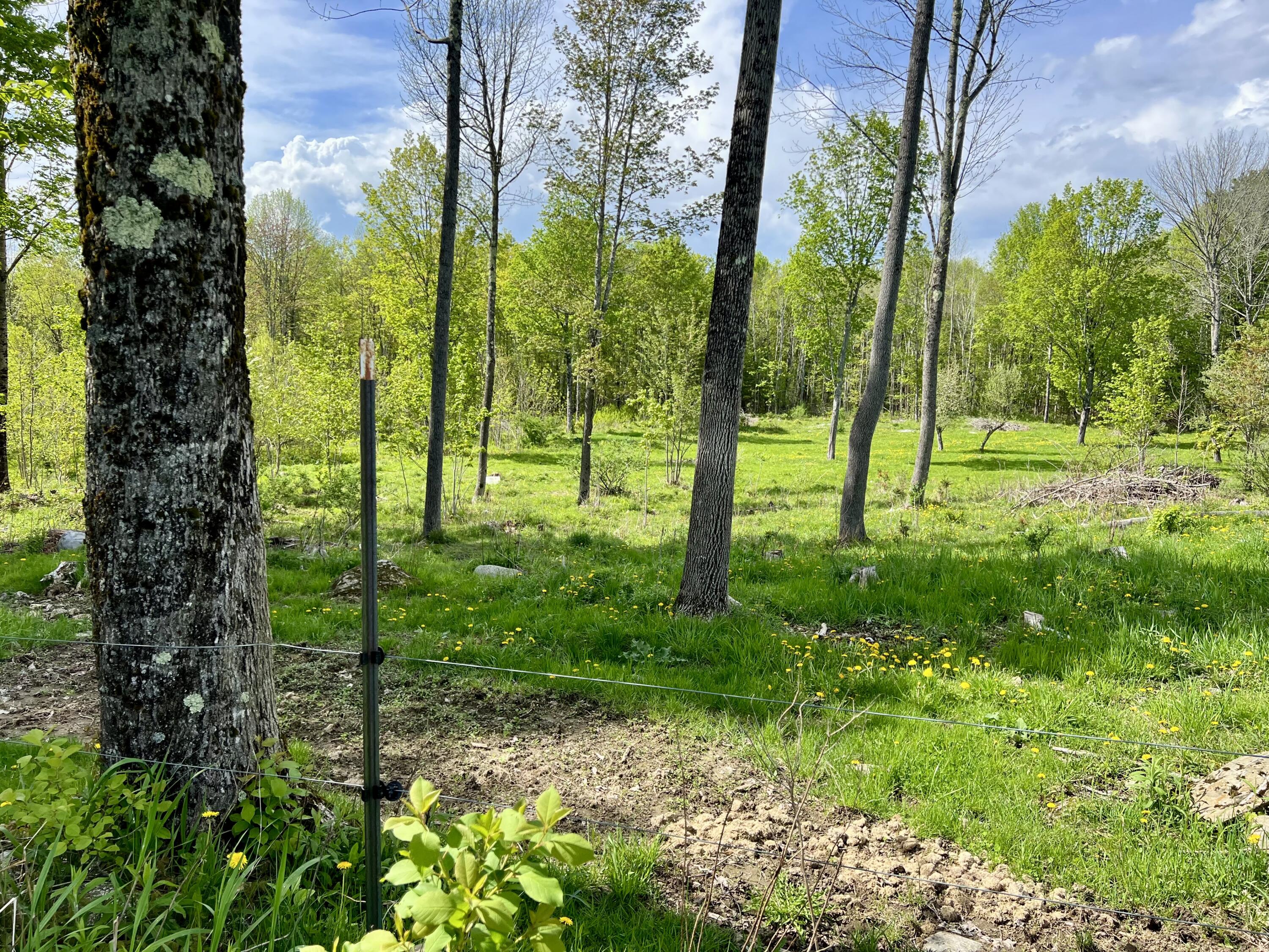 142 Palmer Road Thorndike, ME 04986 - Photo 49 of 101 IMG_4774