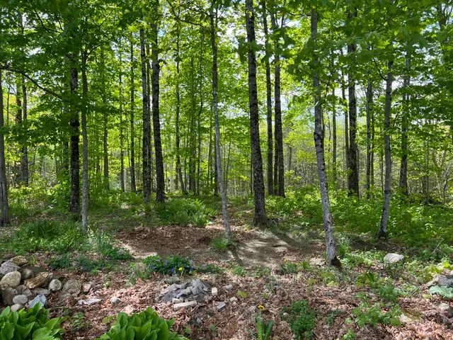 $325,000 | 142 Palmer Road, Thorndike, ME 04986