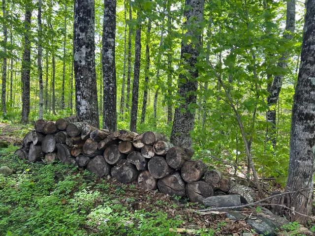 $325,000 | 142 Palmer Road, Thorndike, ME 04986