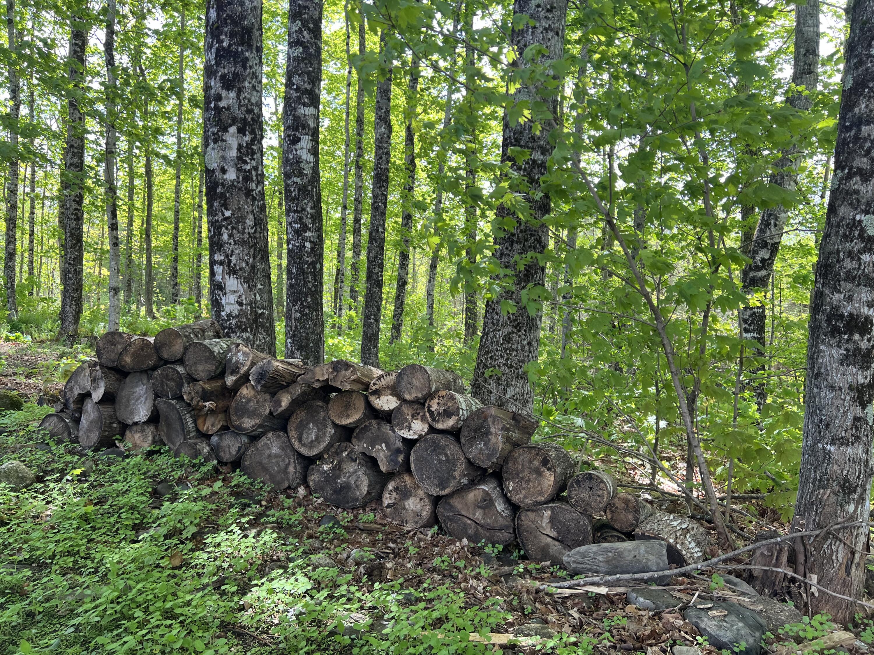 142 Palmer Road Thorndike, ME 04986 - Photo 51 of 101 IMG_4759