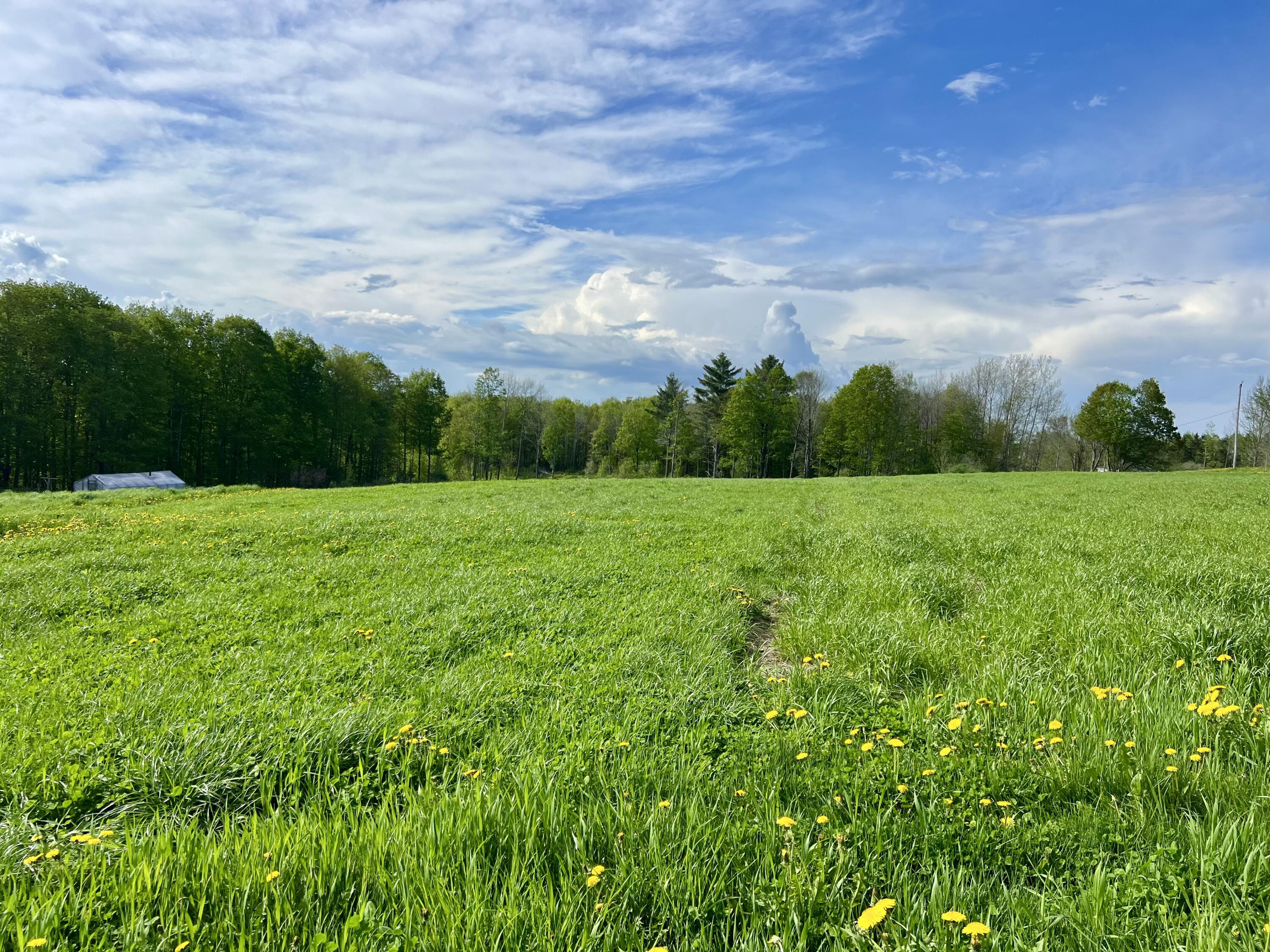 142 Palmer Road Thorndike, ME 04986 - Photo 75 of 101 IMG_4809