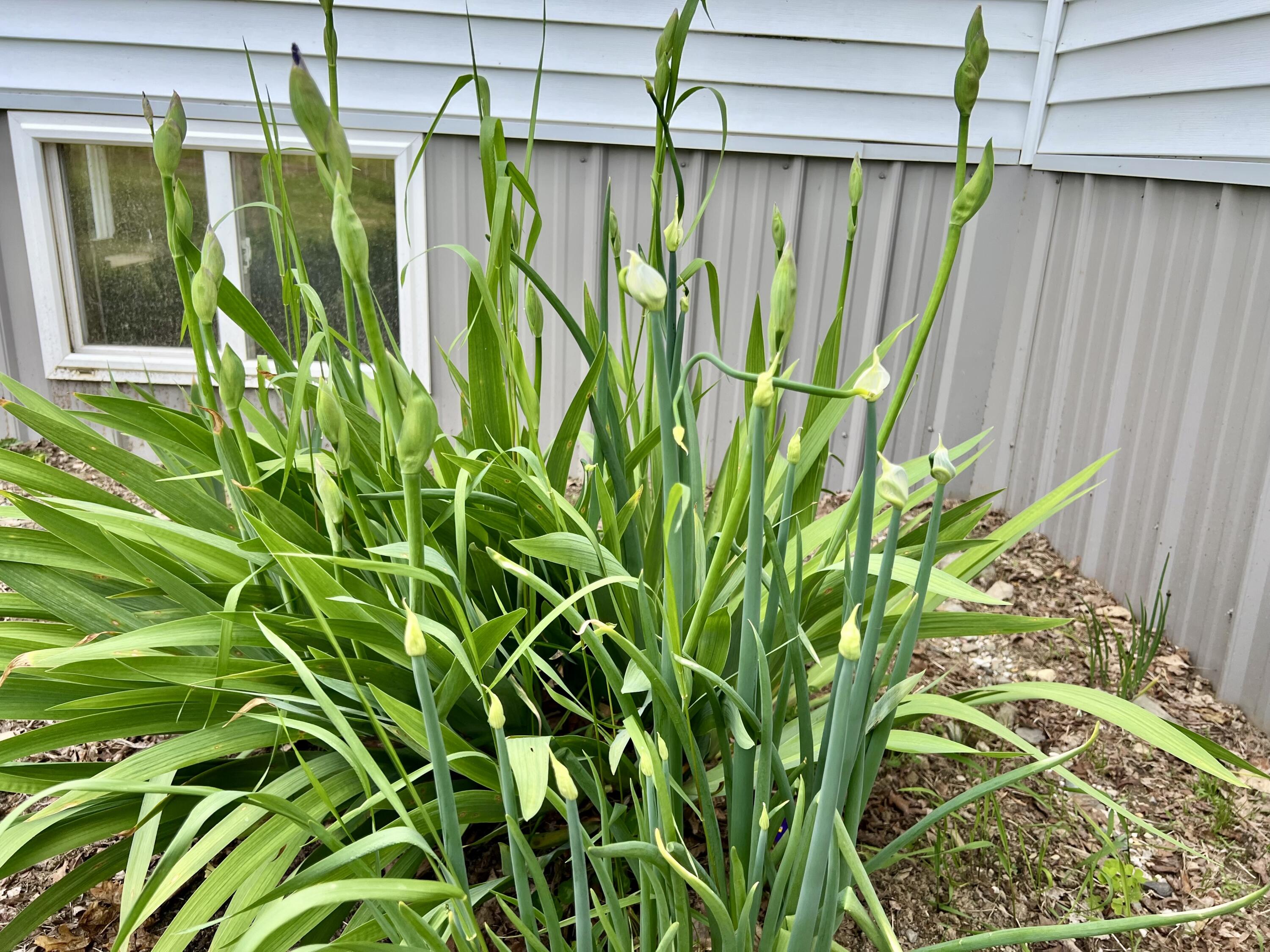 142 Palmer Road Thorndike, ME 04986 - Photo 80 of 101 IMG_5167