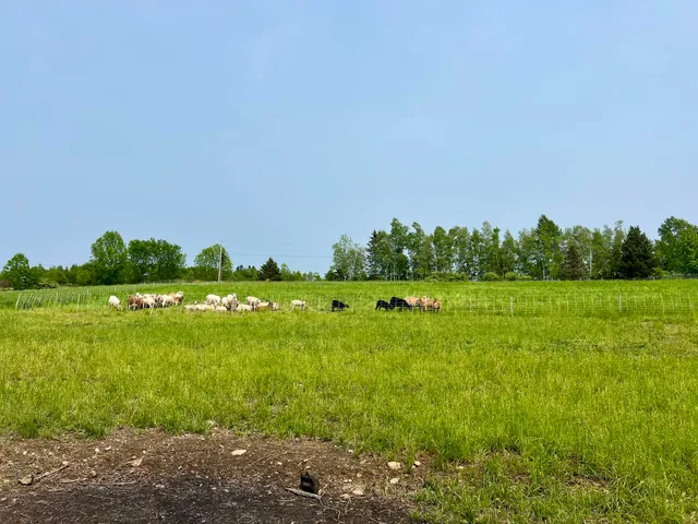 $325,000 | 142 Palmer Road, Thorndike, ME 04986