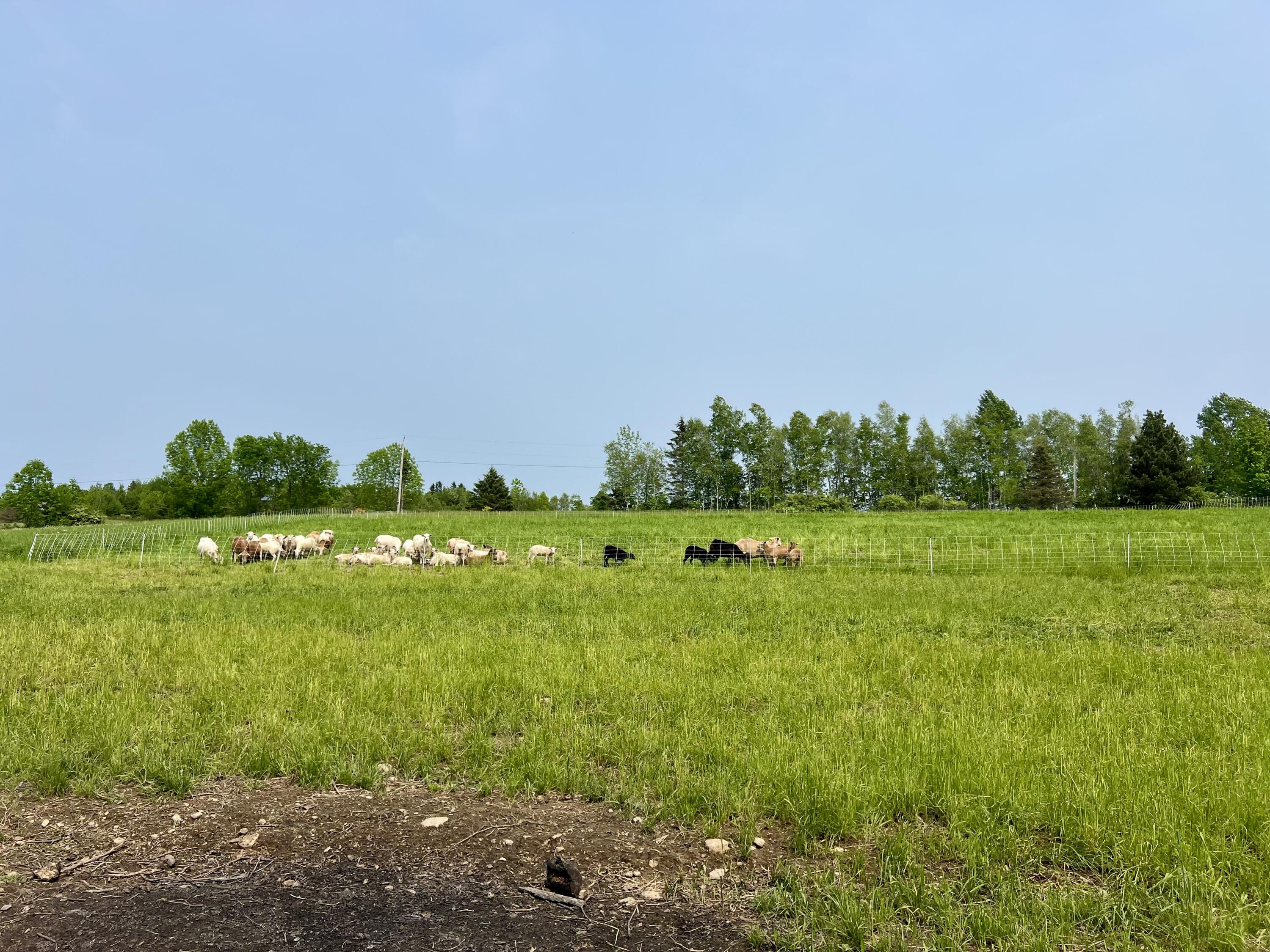 142 Palmer Road Thorndike, ME 04986 - Photo 82 of 101 IMG_5164