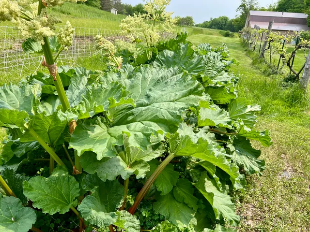 $325,000 | 142 Palmer Road, Thorndike, ME 04986