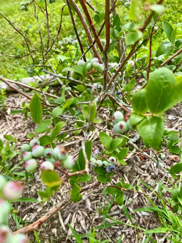 $325,000 | 142 Palmer Road, Thorndike, ME 04986