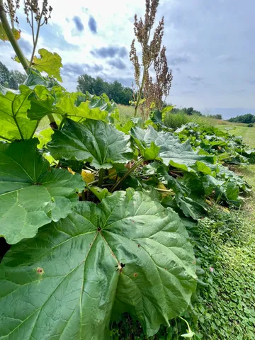 $325,000 | 142 Palmer Road, Thorndike, ME 04986