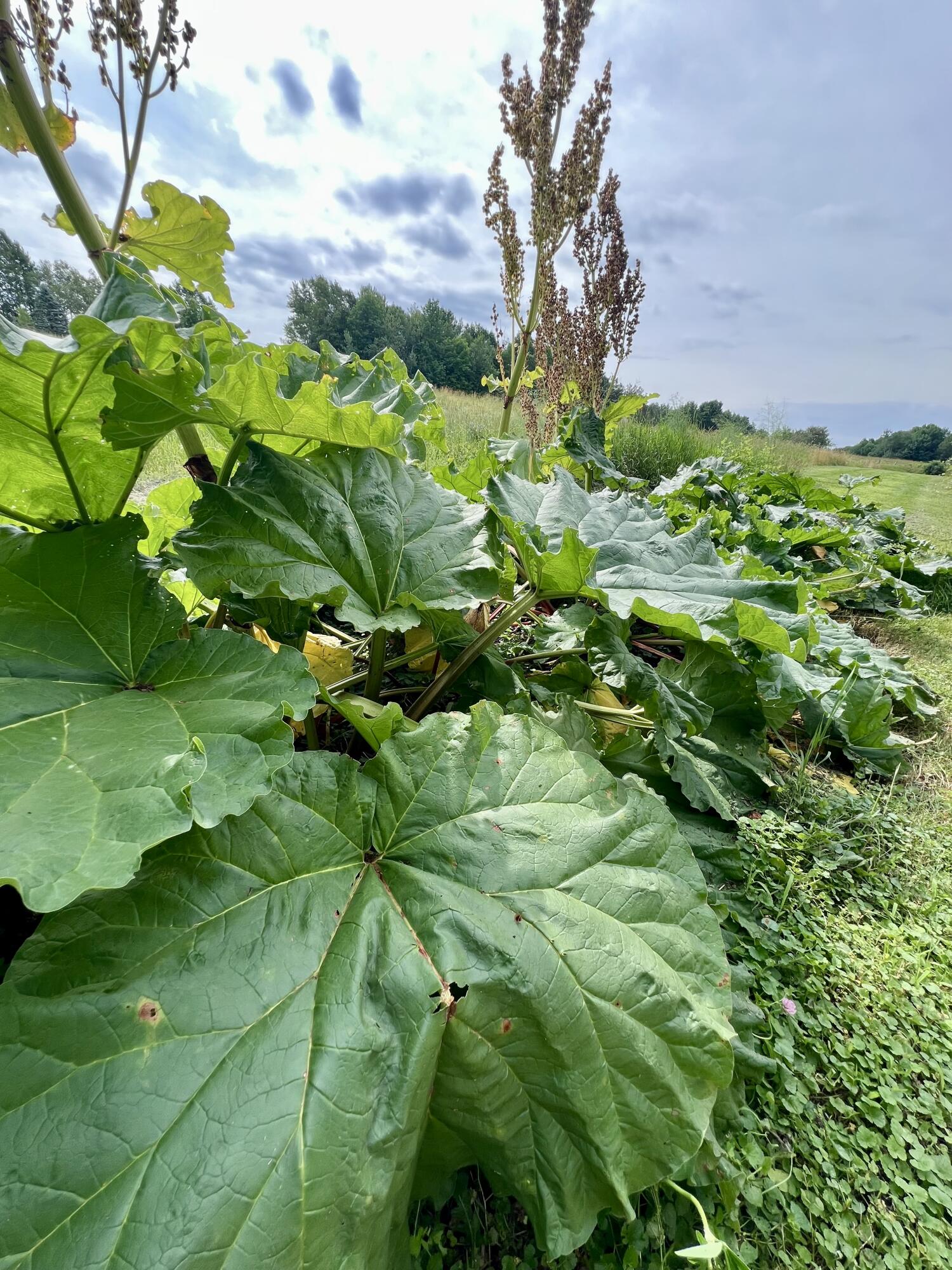 142 Palmer Road Thorndike, ME 04986 - Photo 89 of 101 IMG_5657