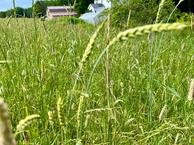 $325,000 | 142 Palmer Road, Thorndike, ME 04986