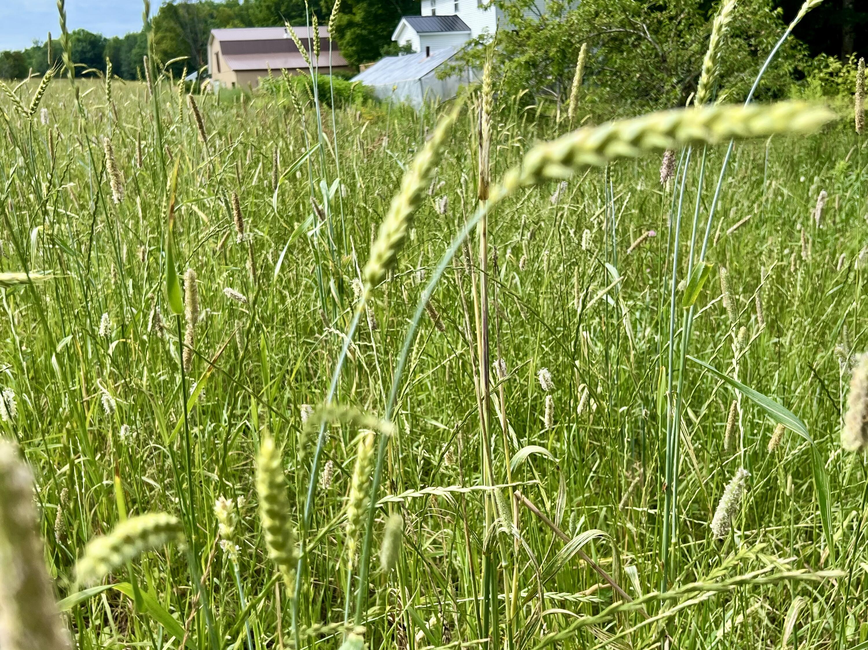 142 Palmer Road Thorndike, ME 04986 - Photo 91 of 101 IMG_5655