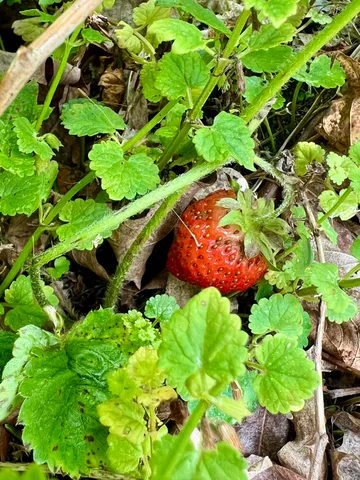 $325,000 | 142 Palmer Road, Thorndike, ME 04986