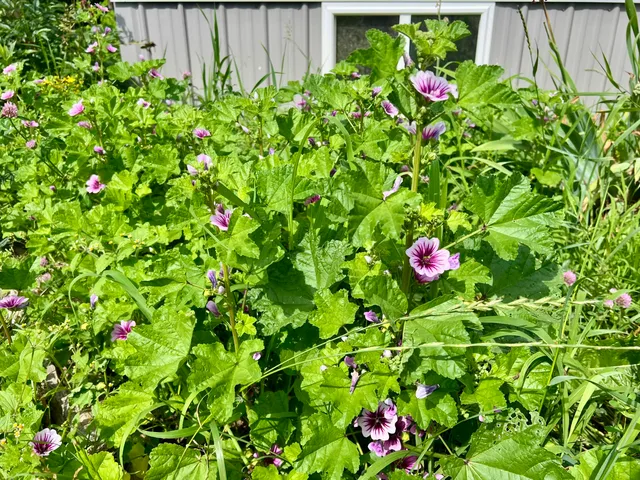 $325,000 | 142 Palmer Road, Thorndike, ME 04986