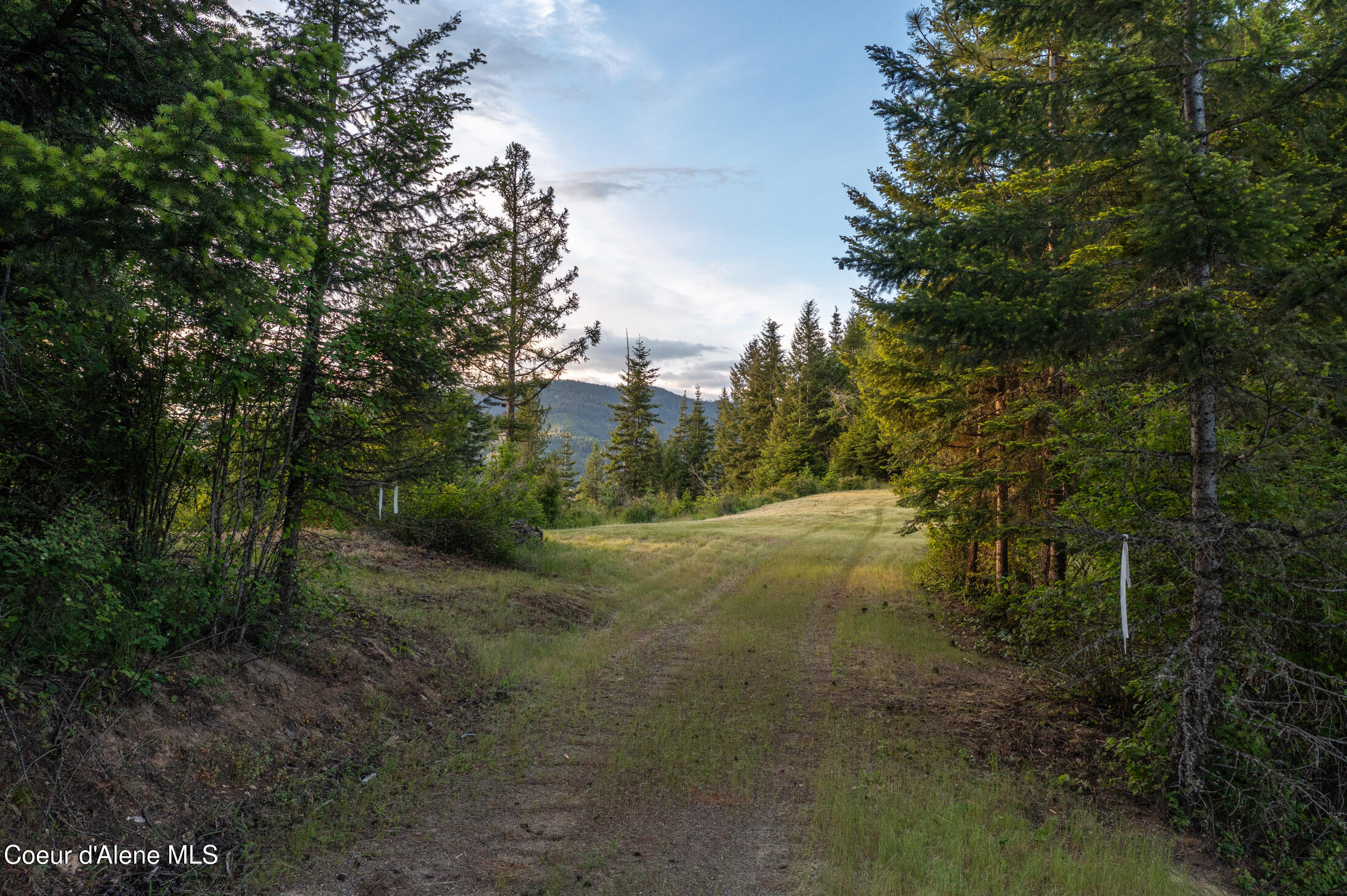 Lot 2 Ridgeview Drive St. Maries, ID 83861 - Photo 5 of 24 DJI_0985-HDR-1
