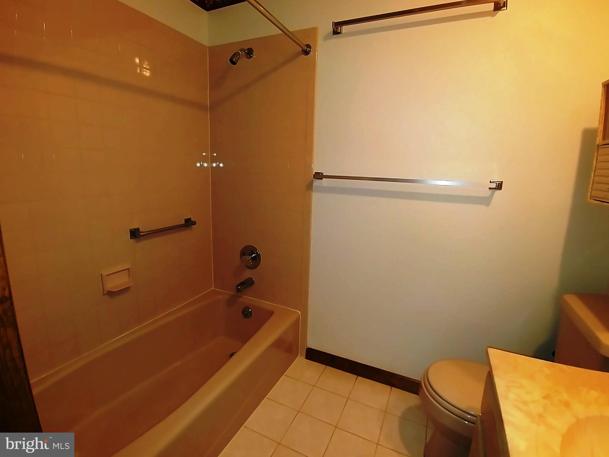 446 Throne Road Fawn Grove, PA 17321 - Photo 21 of 42 main bath