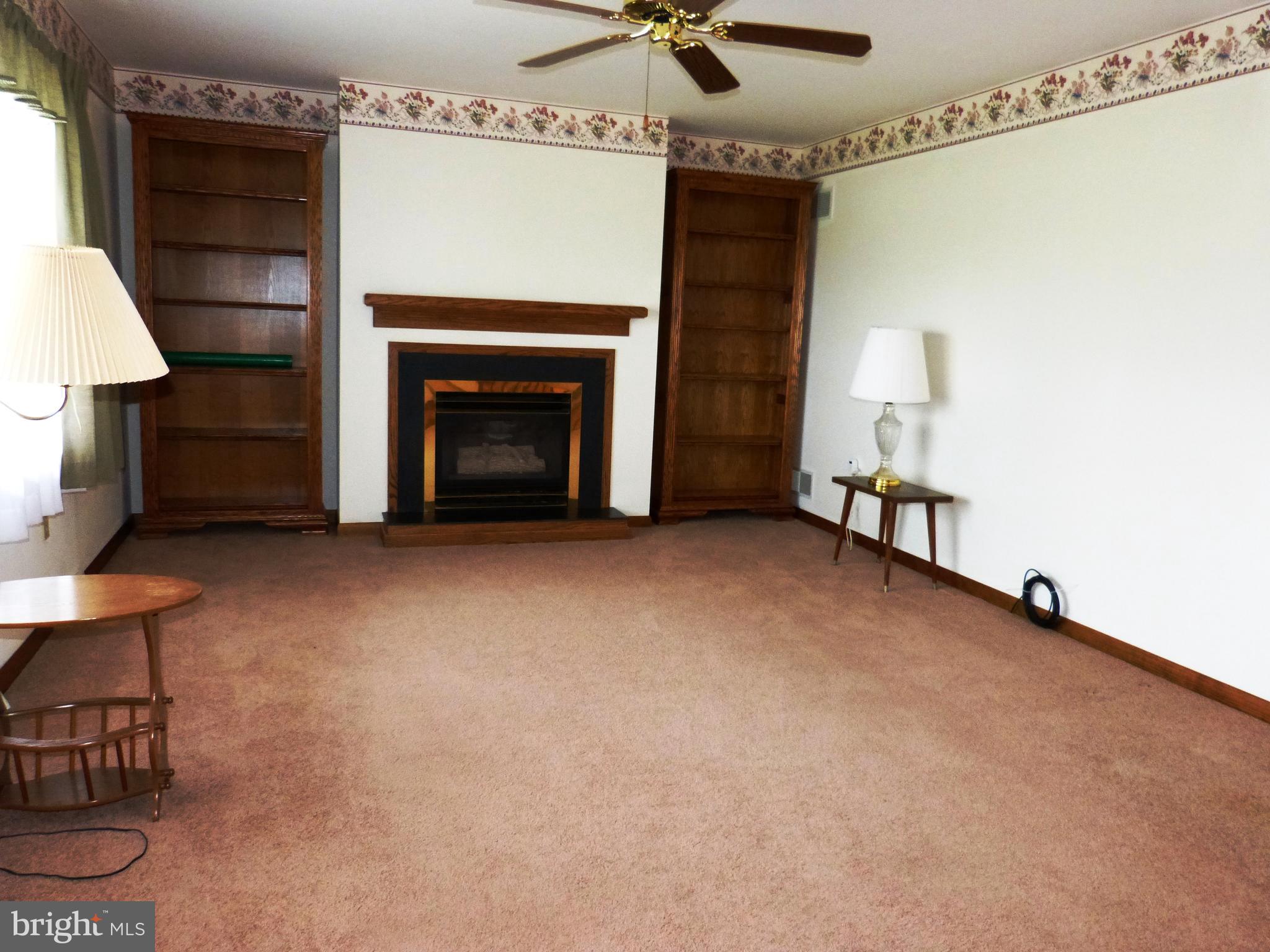 446 Throne Road Fawn Grove, PA 17321 - Photo 8 of 42 propane fireplace