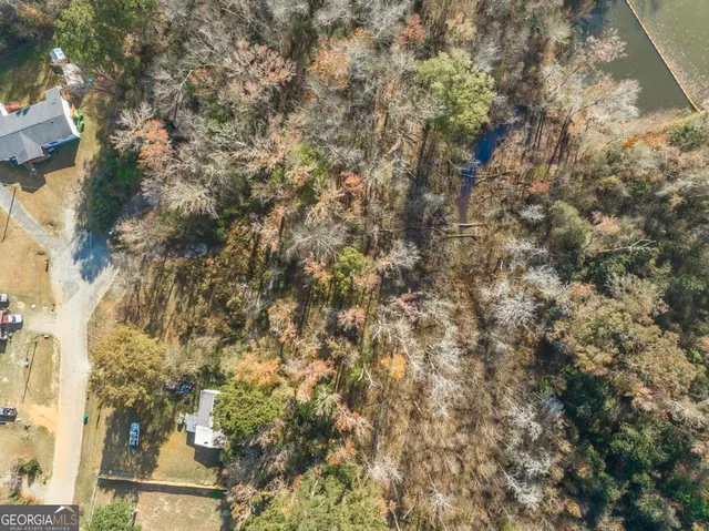 a view of a yard with a tree