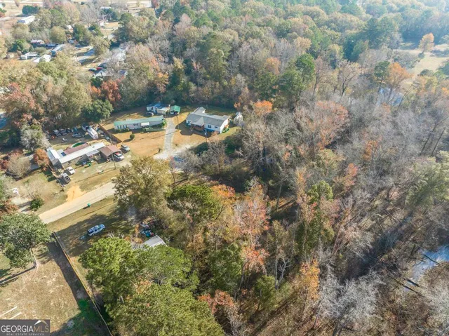 a close up of a tree in a yard