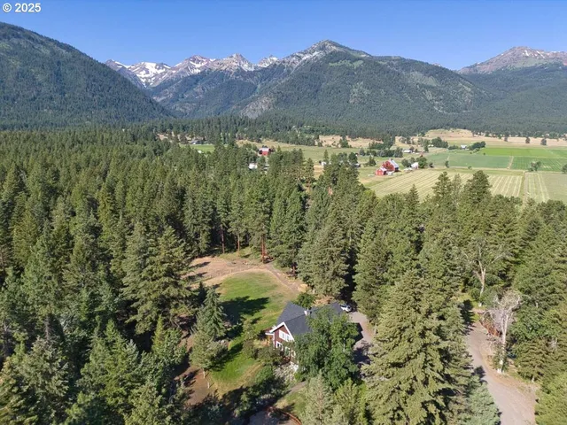 a view of a lot of trees and mountains