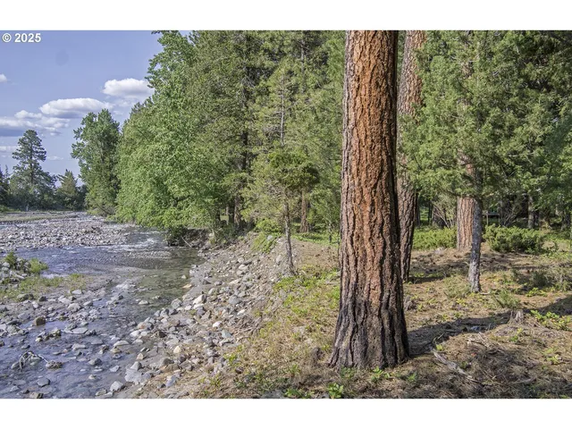 a view of a forest with a houses