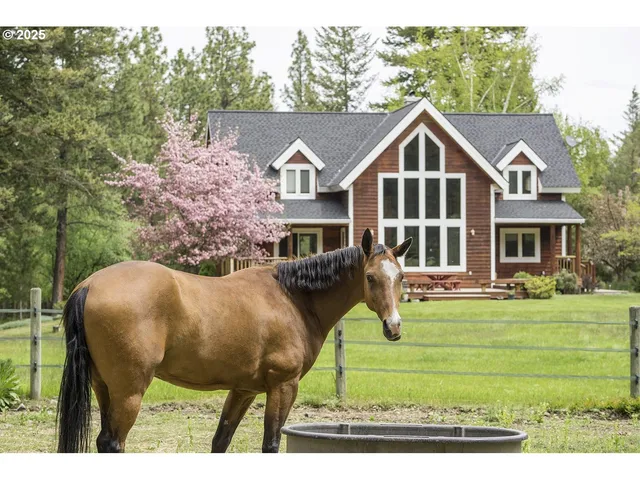 a view of house with garden and tall trees