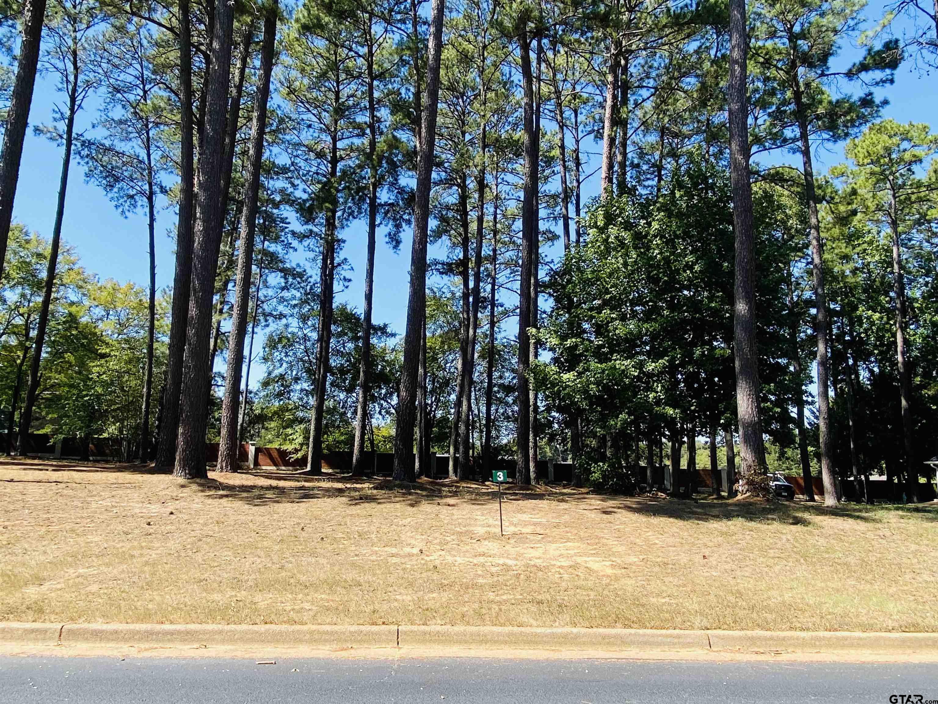 Lot 3 Easy Street Frankston, TX 75763 - Photo 3 of 8 a view of swimming pool with trees in the background