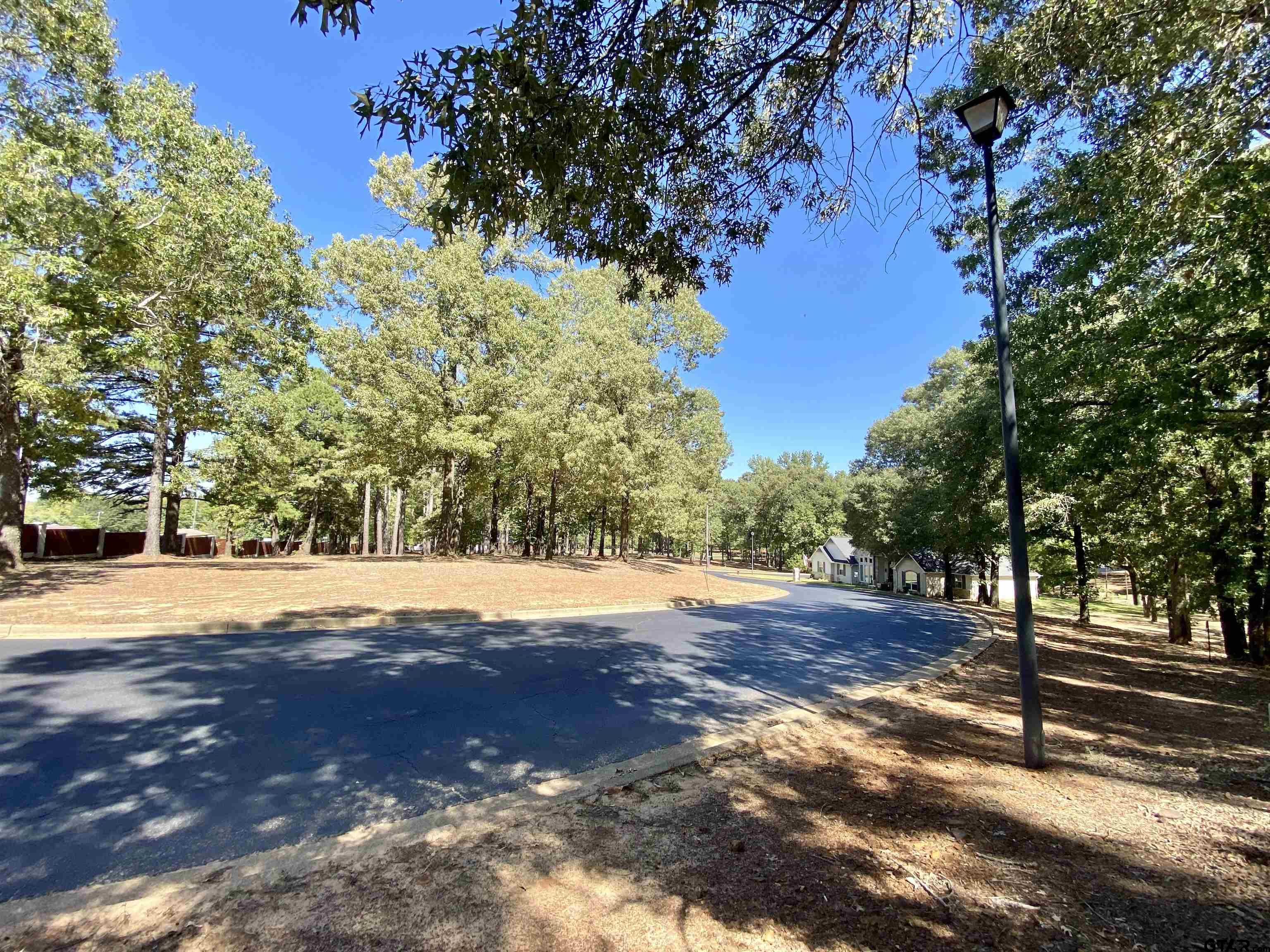 Lot 3 Easy Street Frankston, TX 75763 - Photo 4 of 8 a view of a yard with a house