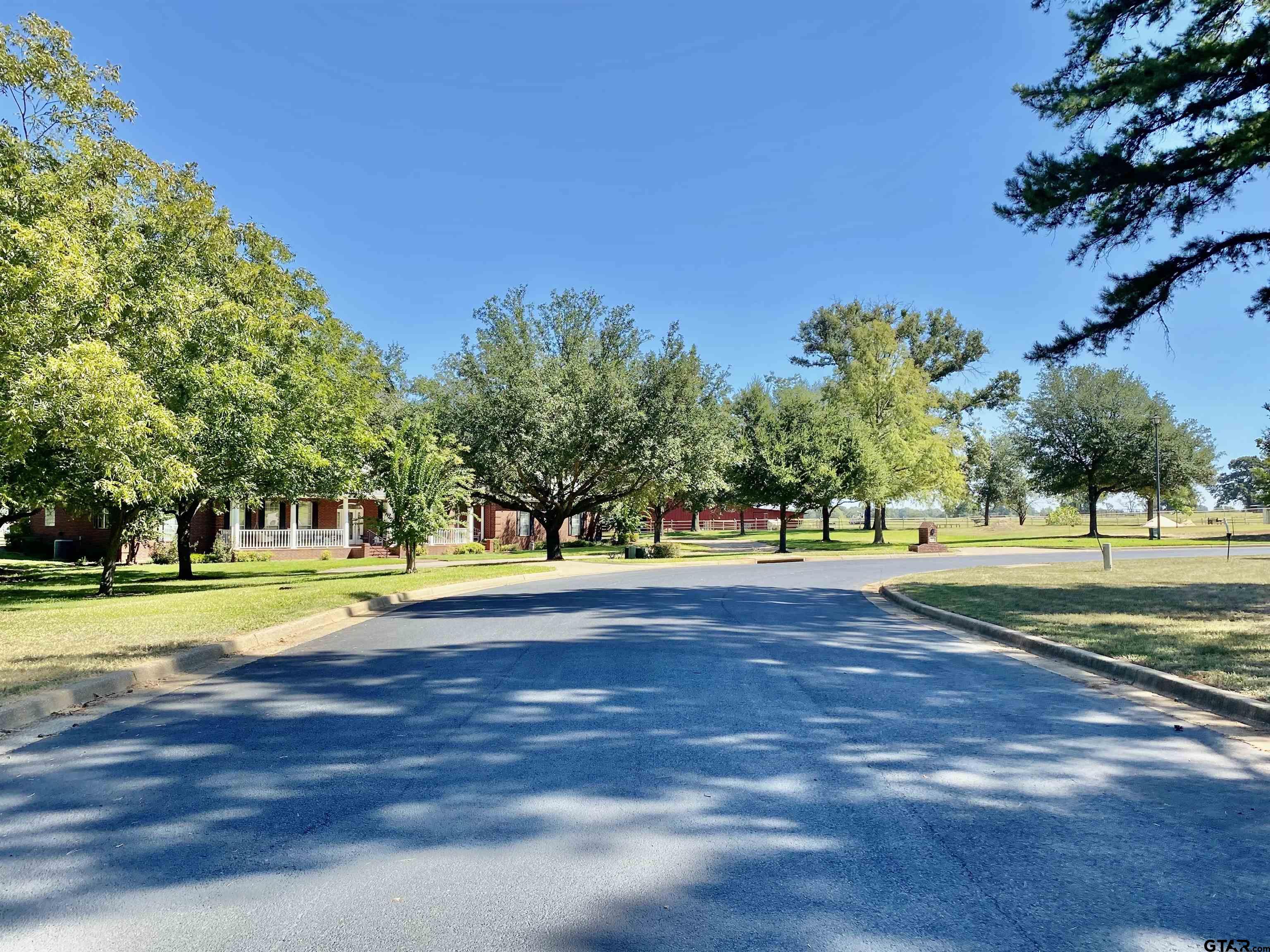 Lot 3 Easy Street Frankston, TX 75763 - Photo 5 of 8 a view of a house with a big yard and palm trees