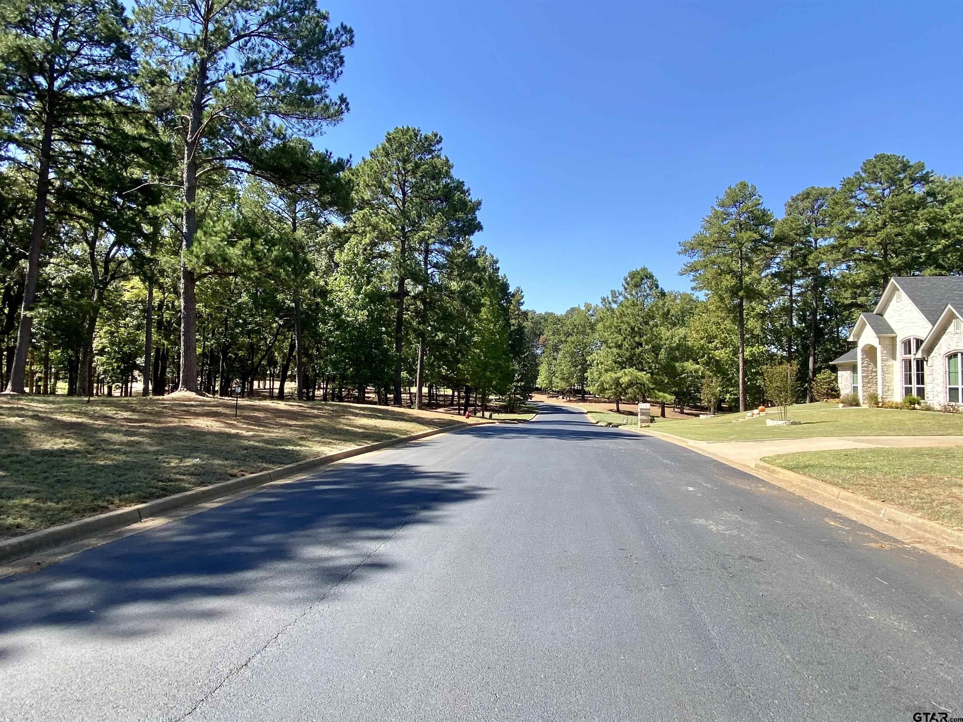 Lot 3 Easy Street Frankston, TX 75763 - Photo 6 of 8