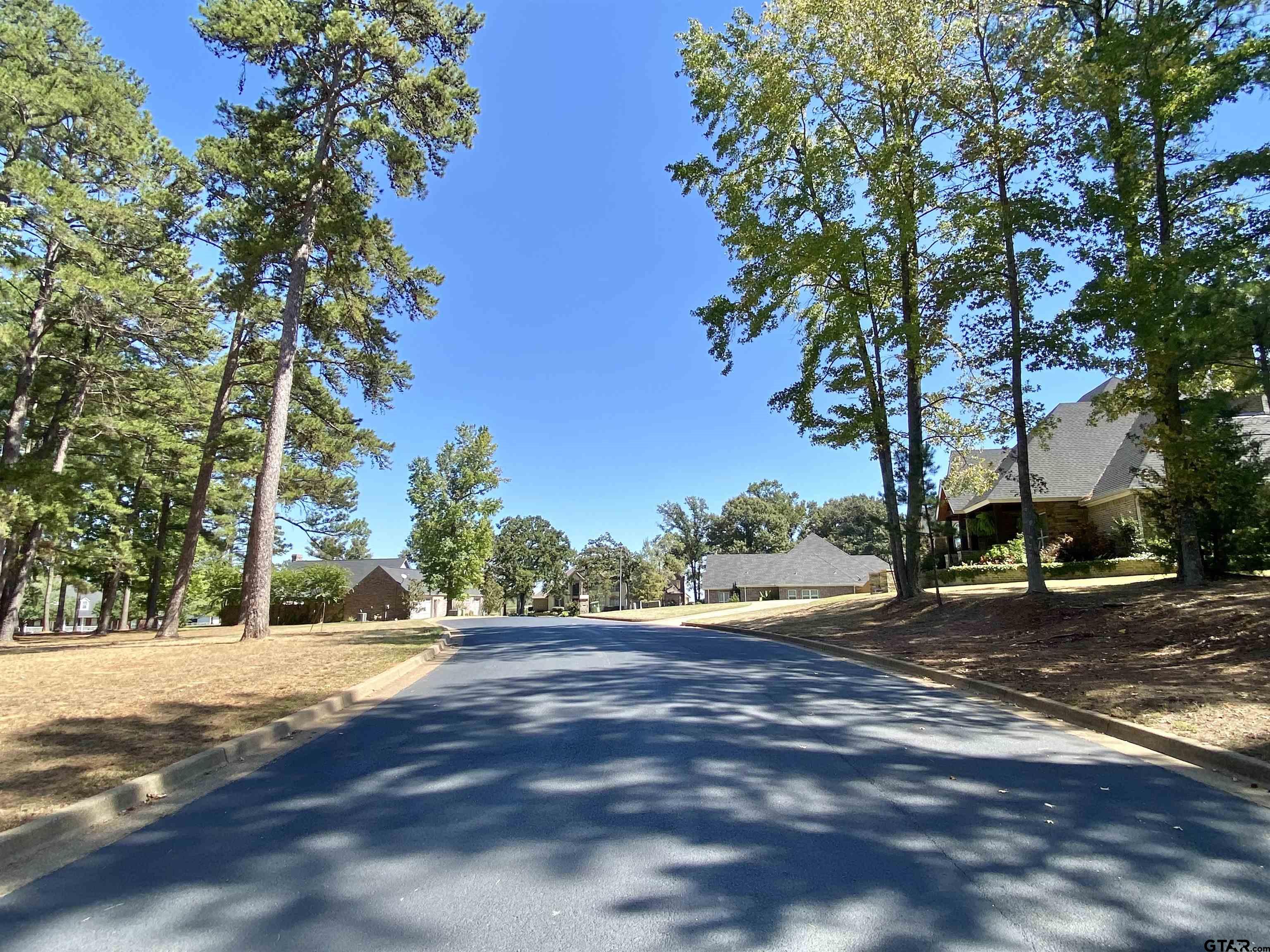 Lot 3 Easy Street Frankston, TX 75763 - Photo 8 of 8 a view of road with trees