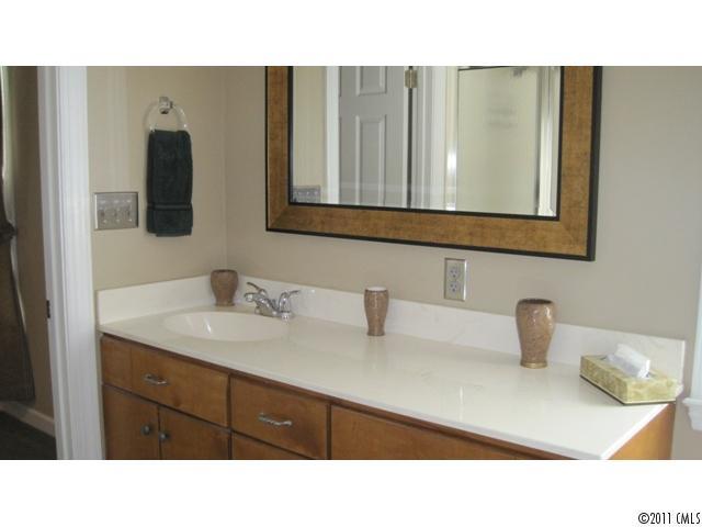 633 Marvin Road Indian Land, SC 29707 - Photo 12 of 16 a bathroom with a sink and mirror