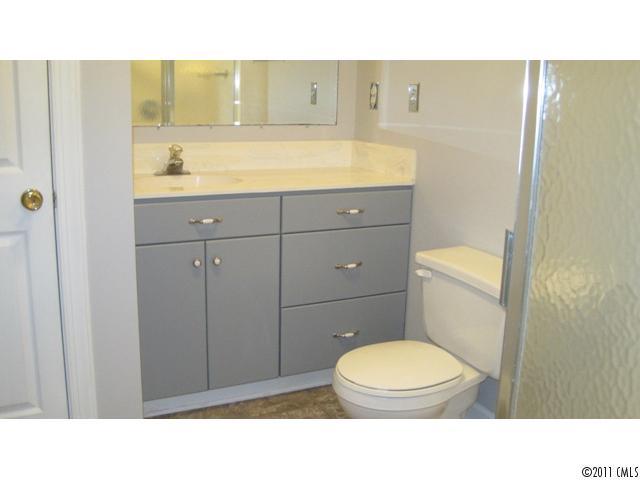 633 Marvin Road Indian Land, SC 29707 - Photo 14 of 16 a bathroom with a sink a toilet and shower