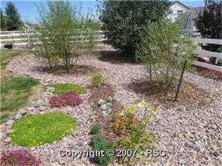 12341 Tex Tan Road Peyton, CO 80831 - Photo 5 of 14