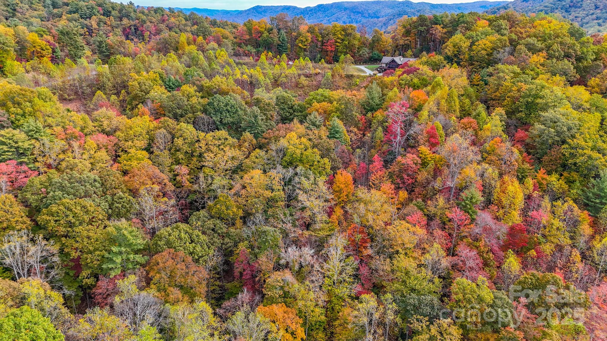 0 Roca Vista Drive, Unit 534 Lenoir, NC 28645 - Photo 12 of 24 a view of a lot of trees and bushes