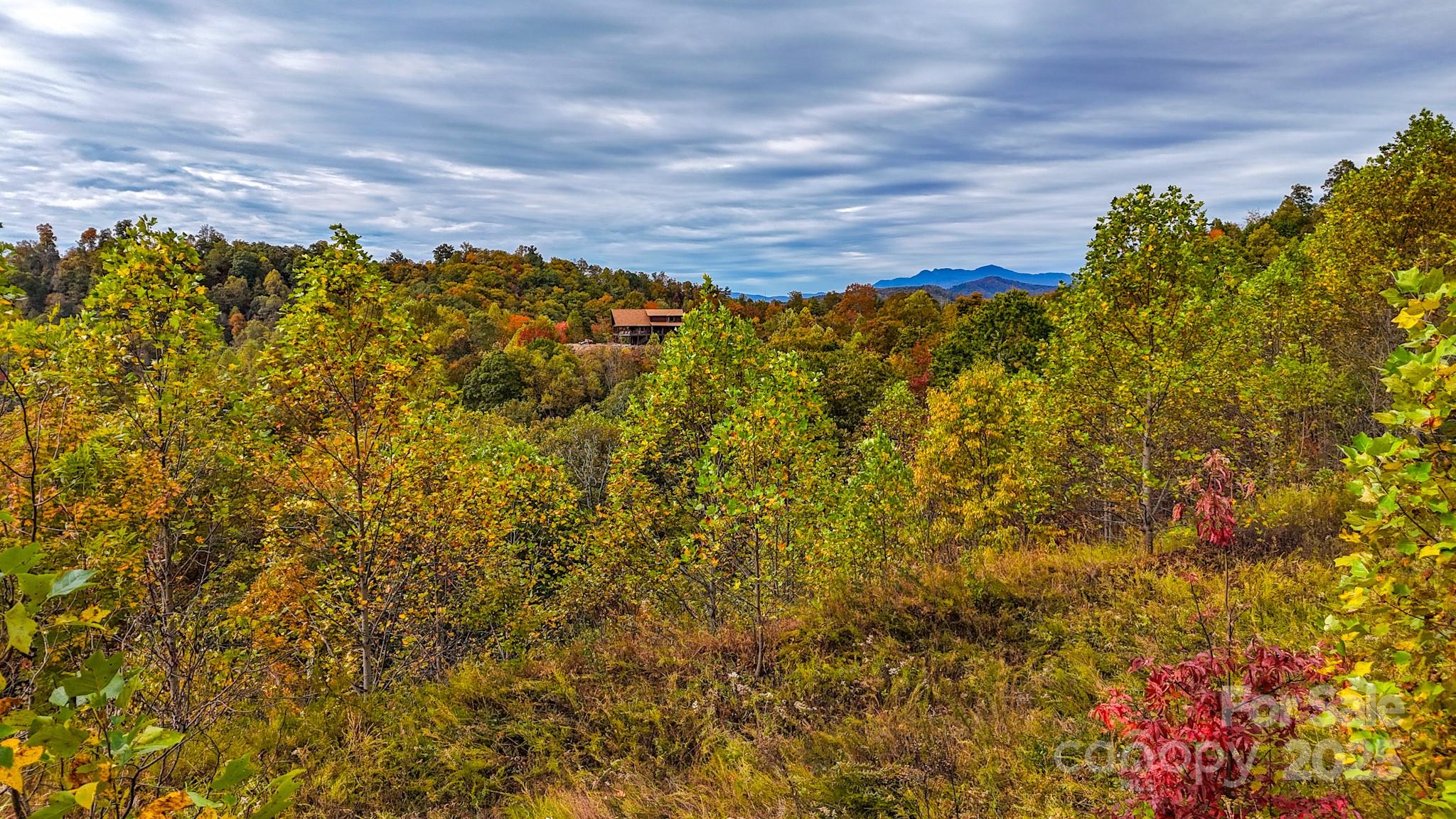 0 Roca Vista Drive, Unit 534 Lenoir, NC 28645 - Photo 13 of 24 a view of a bunch of trees and bushes