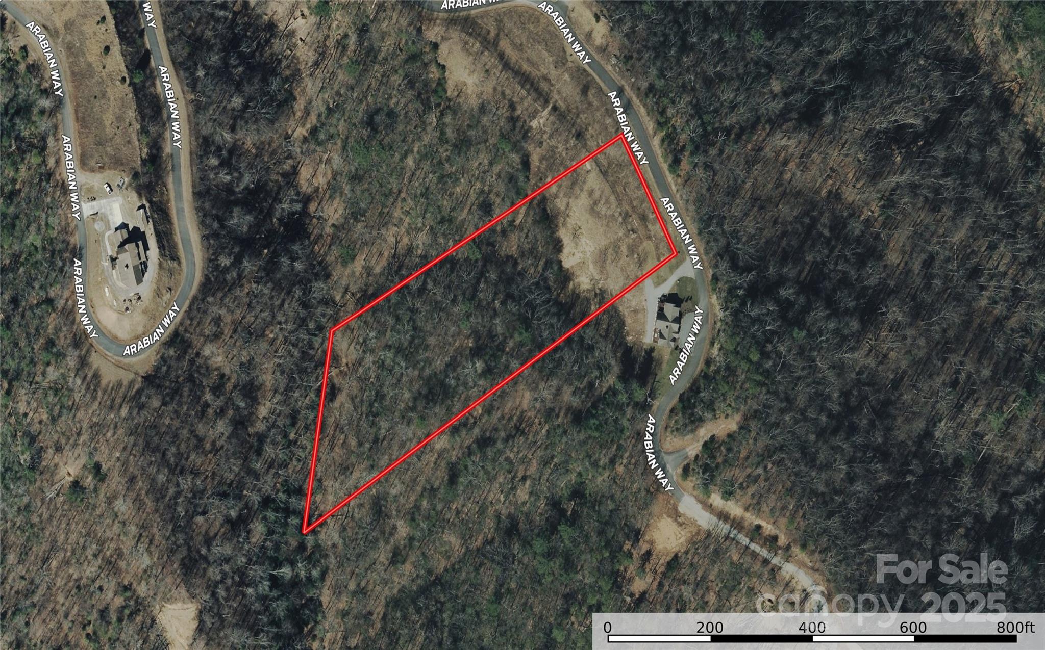 0 Roca Vista Drive, Unit 534 Lenoir, NC 28645 - Photo 21 of 24 a view of a small park with large trees