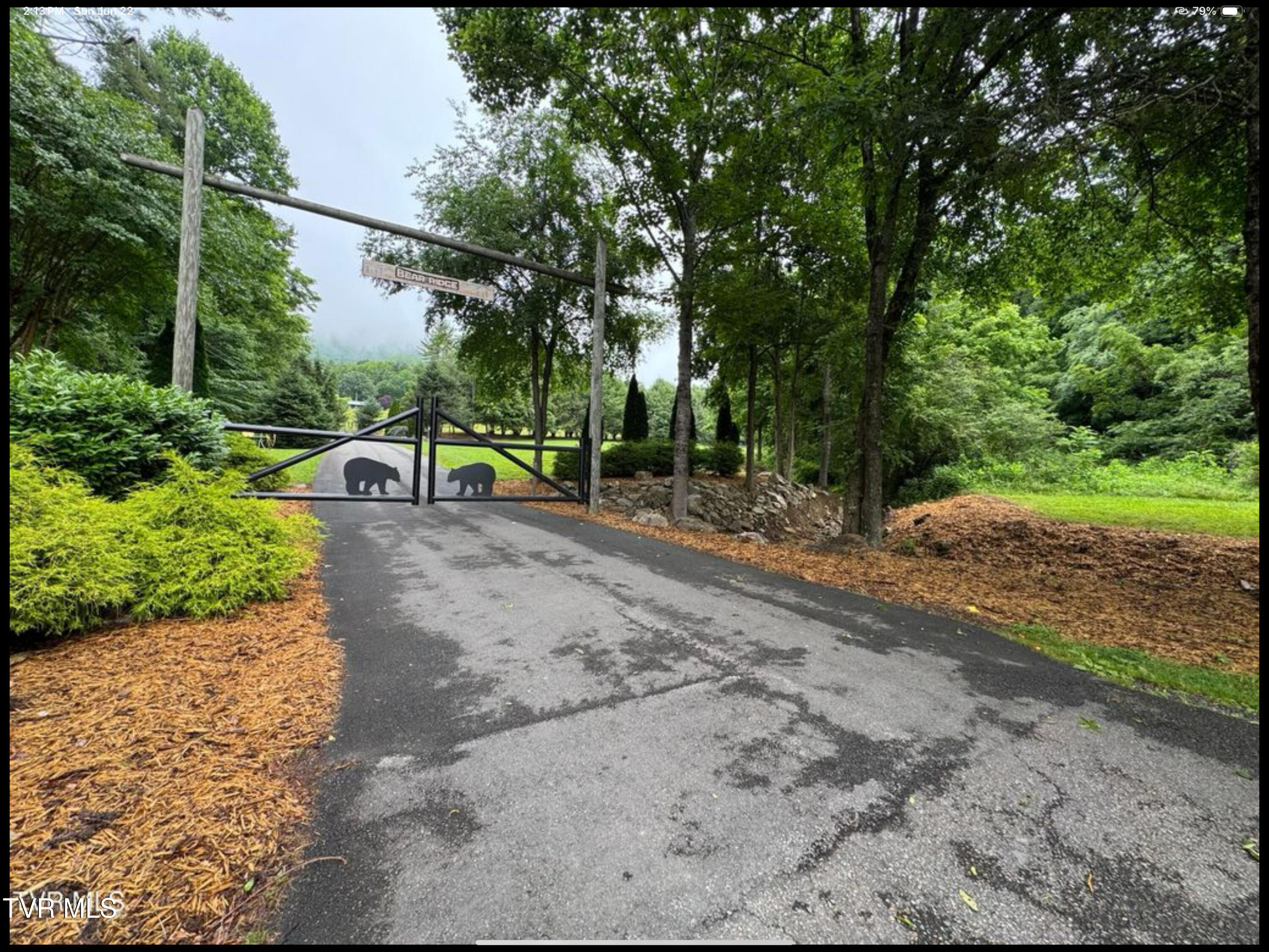 191 Bear Ridge Drive Butler, TN 37640 - Photo 2 of 82 IMG_0925