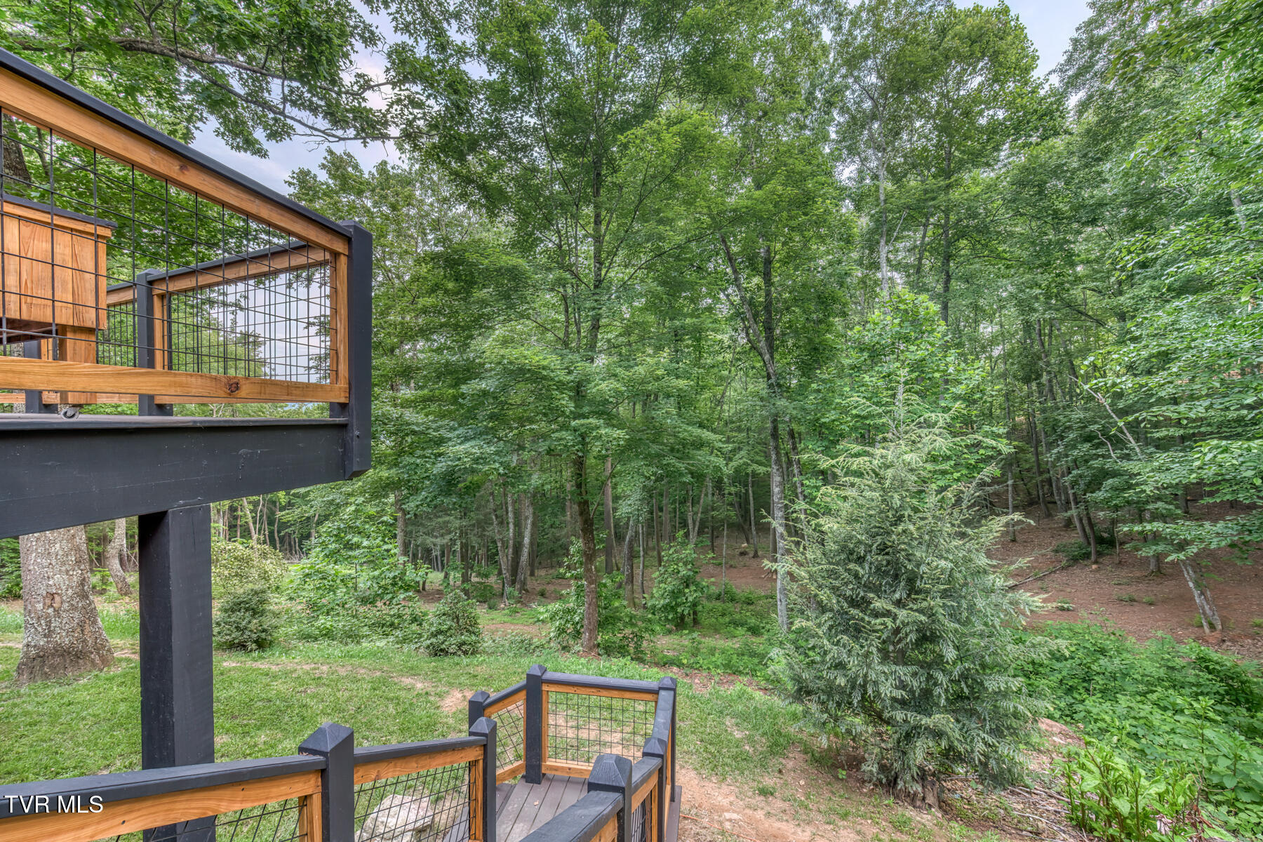 191 Bear Ridge Drive Butler, TN 37640 - Photo 21 of 82 191 Bear Ridge Dr-80