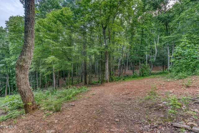 $1,199,000 | 191 Bear Ridge Drive, Butler, TN 37640