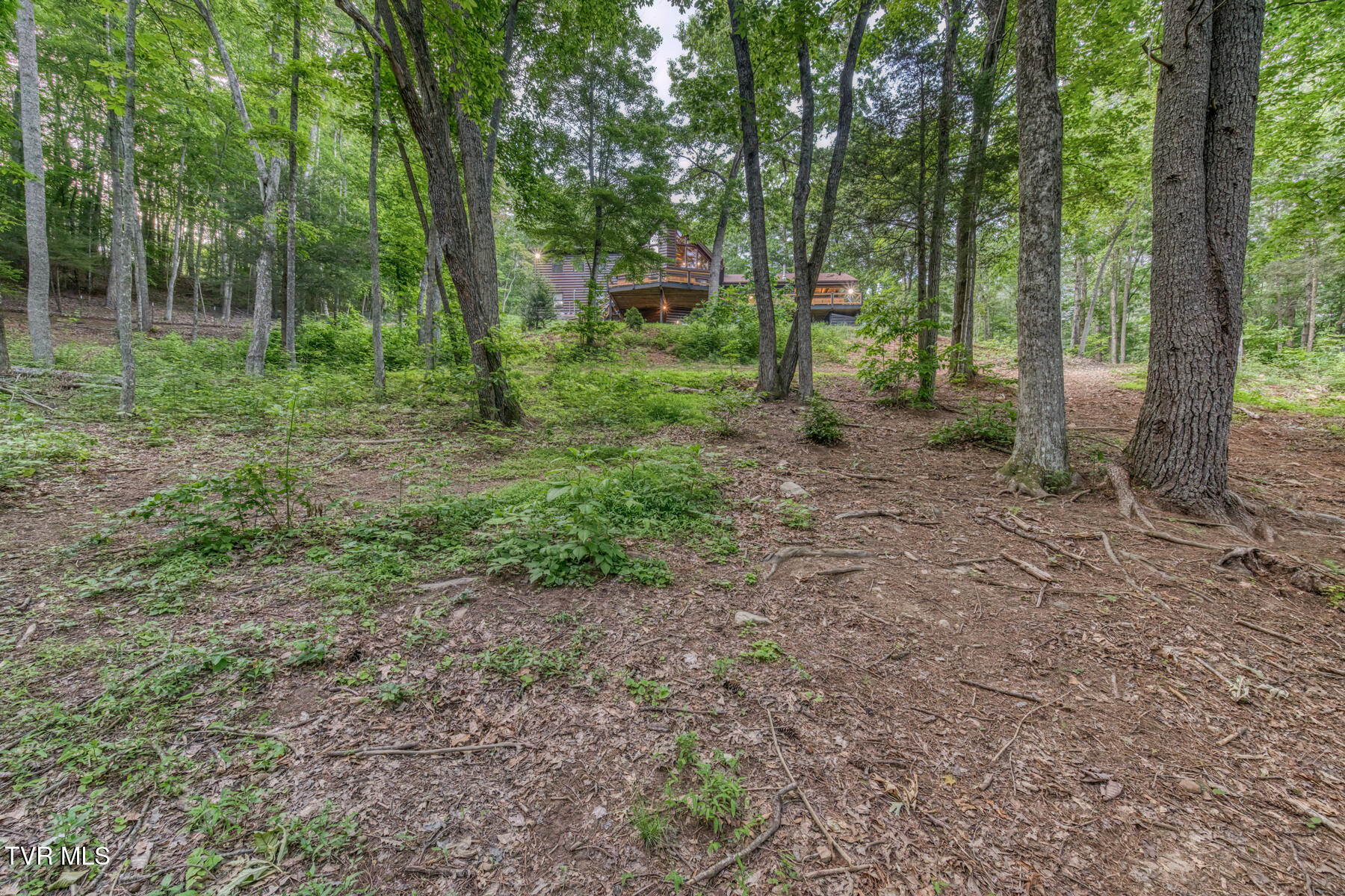 191 Bear Ridge Drive Butler, TN 37640 - Photo 75 of 82 191 Bear Ridge Dr-90