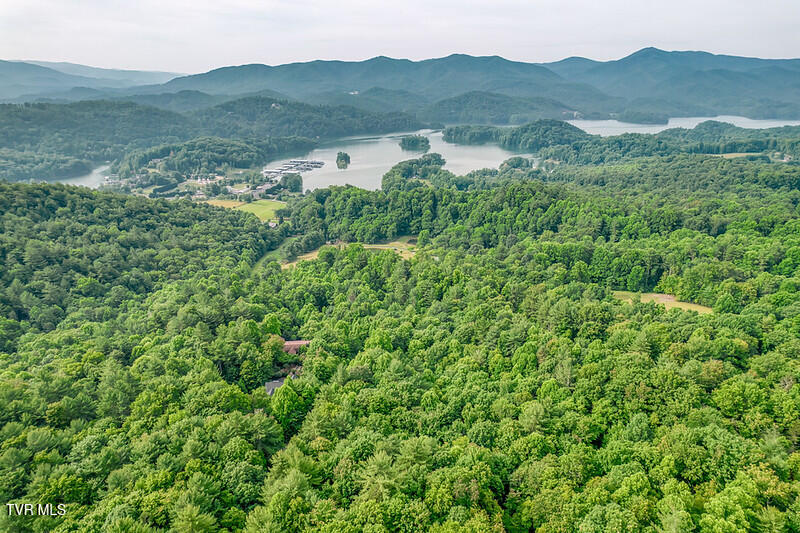 191 Bear Ridge Drive Butler, TN 37640 - Photo 77 of 82 191 Bear Ridge Dr-110-L