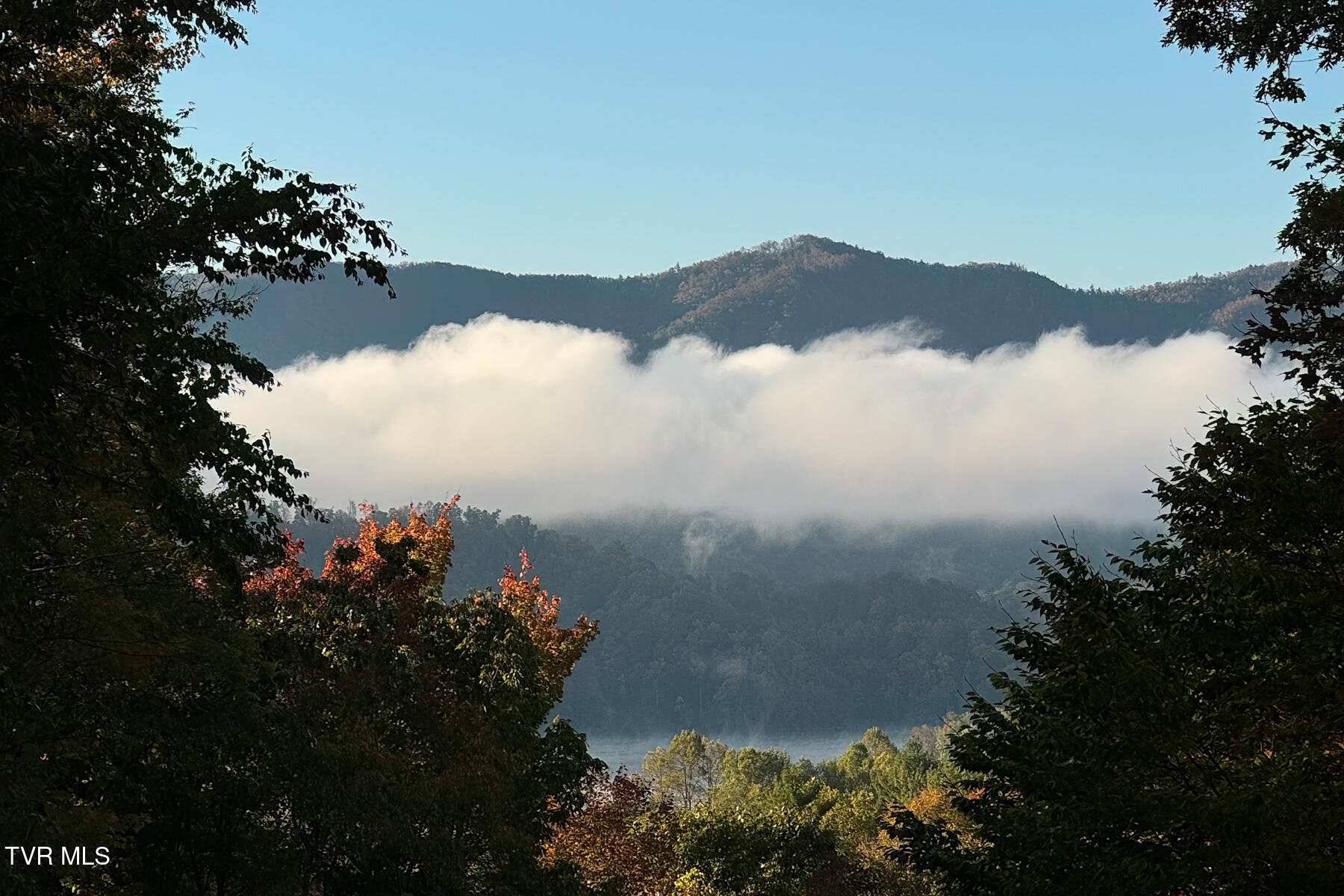 191 Bear Ridge Drive Butler, TN 37640 - Photo 78 of 82 191 Bear Ridge Dr-101