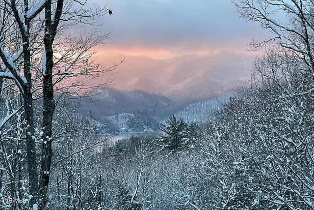 $1,199,000 | 191 Bear Ridge Drive, Butler, TN 37640