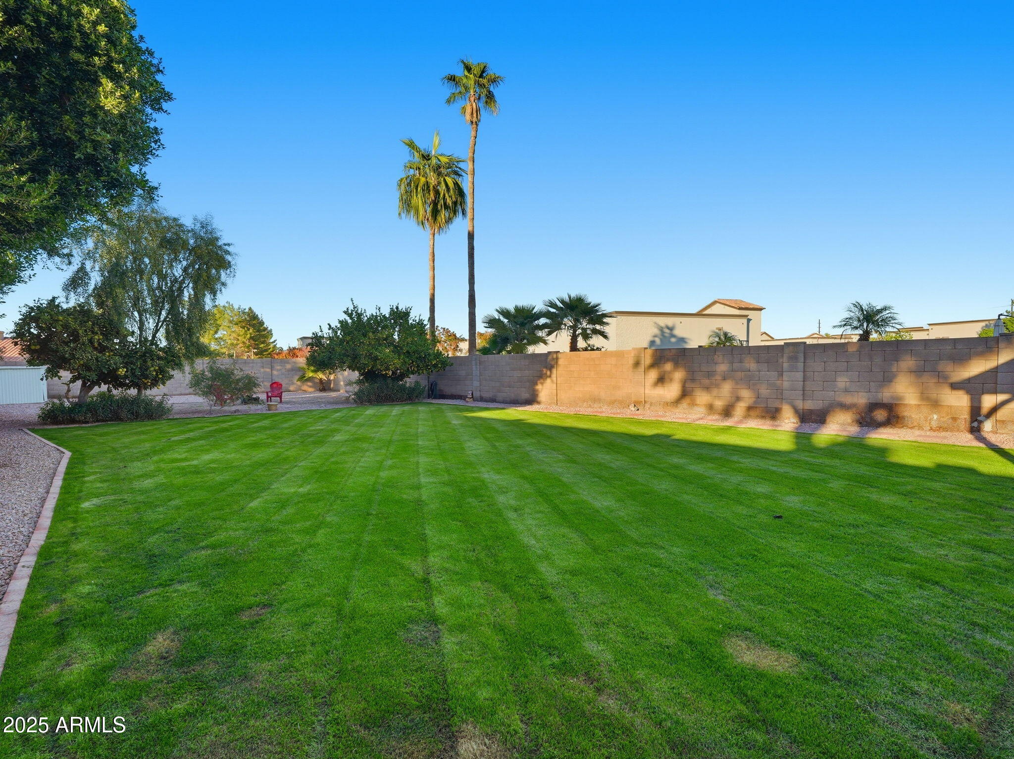 1516 East Cheyenne Street Gilbert, AZ 85296 - Photo 40 of 73 a view of a garden with a tree in the background
