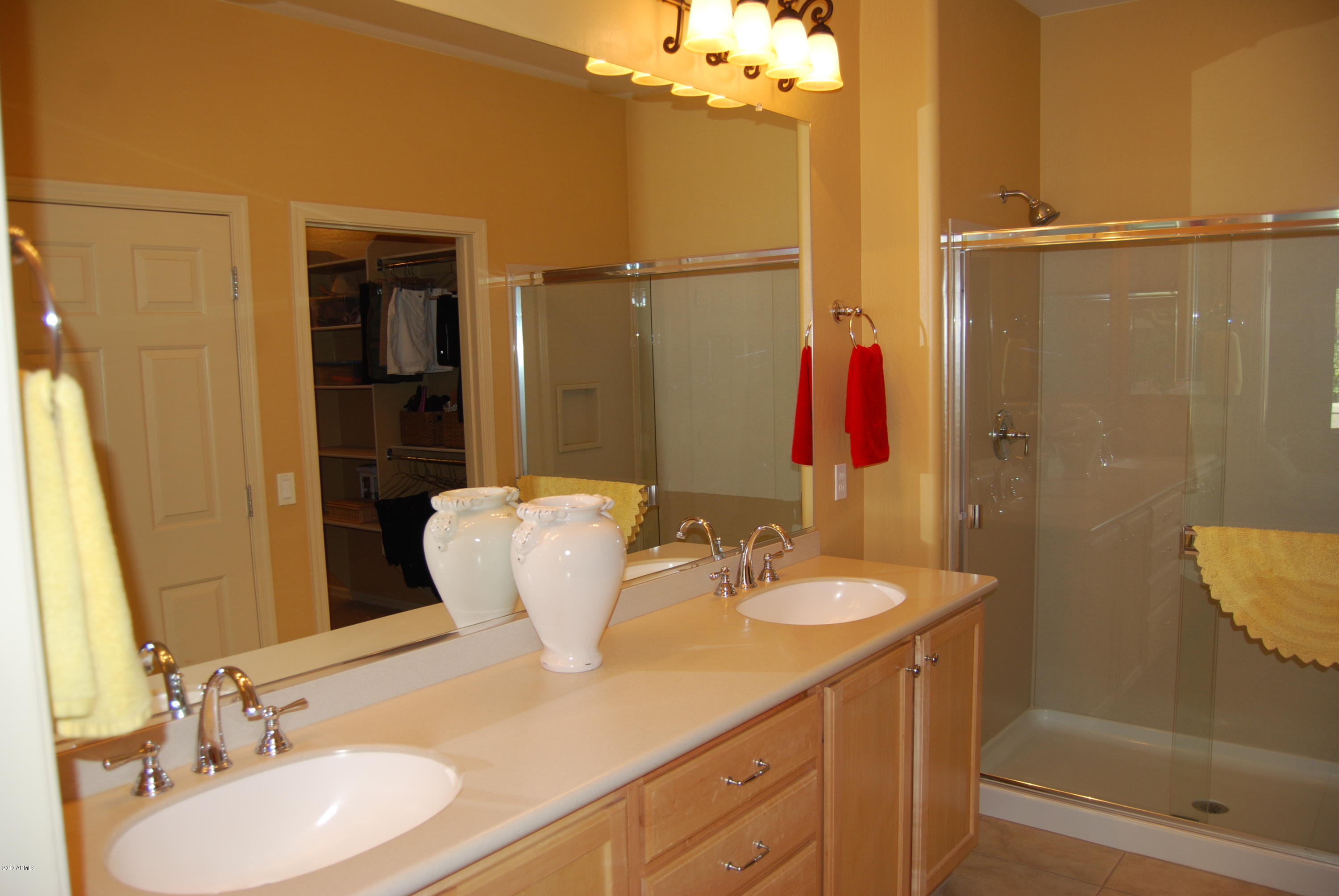 26682 West Burnett Road Buckeye, AZ 85396 - Photo 25 of 32 DSC_0325