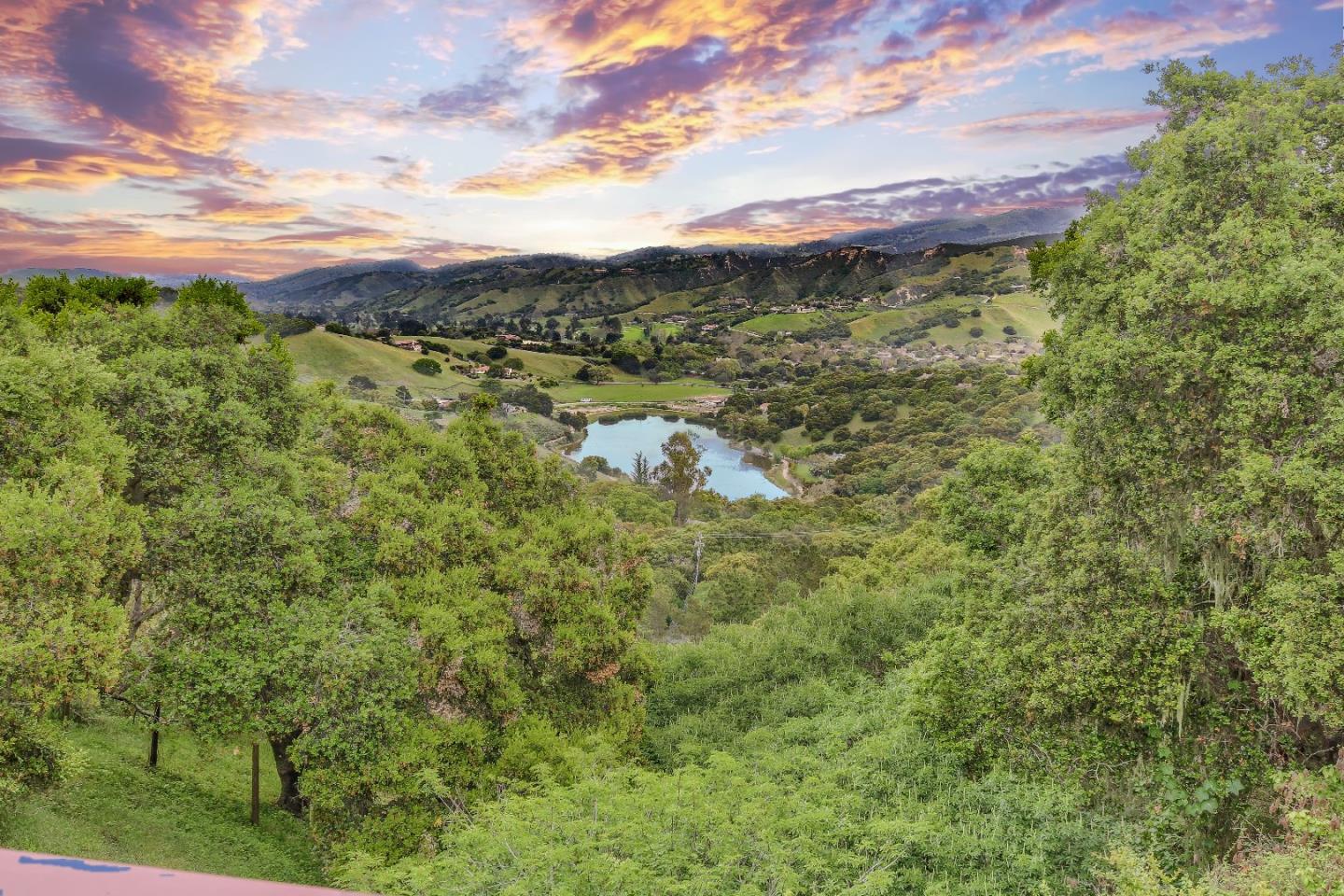 a view of a lush green forest with a lake