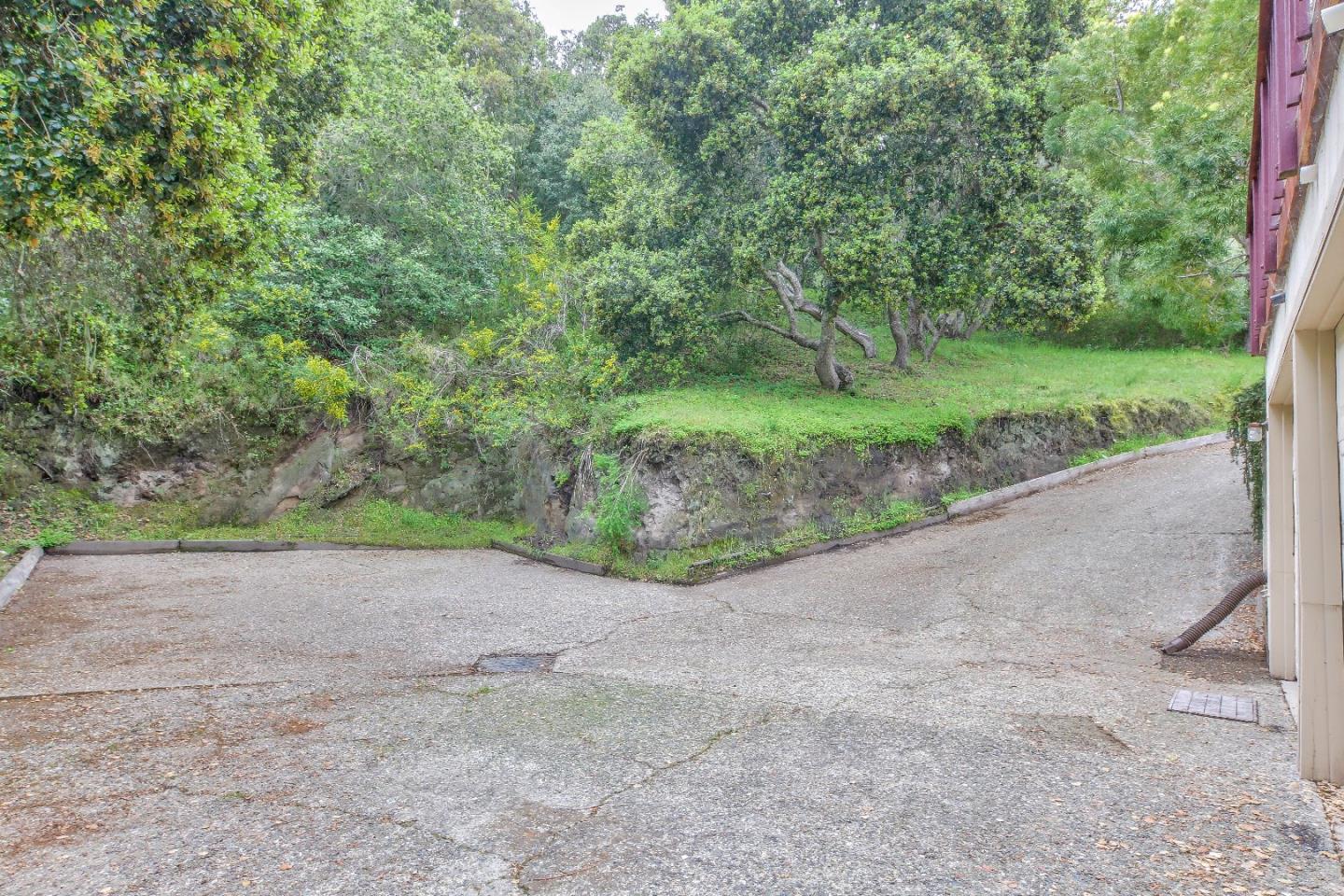 96 Robley Road Salinas, CA 93908 - Photo 41 of 41 a view of a field with plants and trees in the background