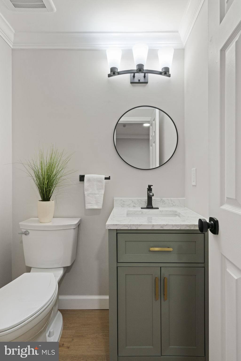 2891 Kelly Square Vienna, VA 22181 - Photo 18 of 39 a bathroom with a toilet a sink and mirror